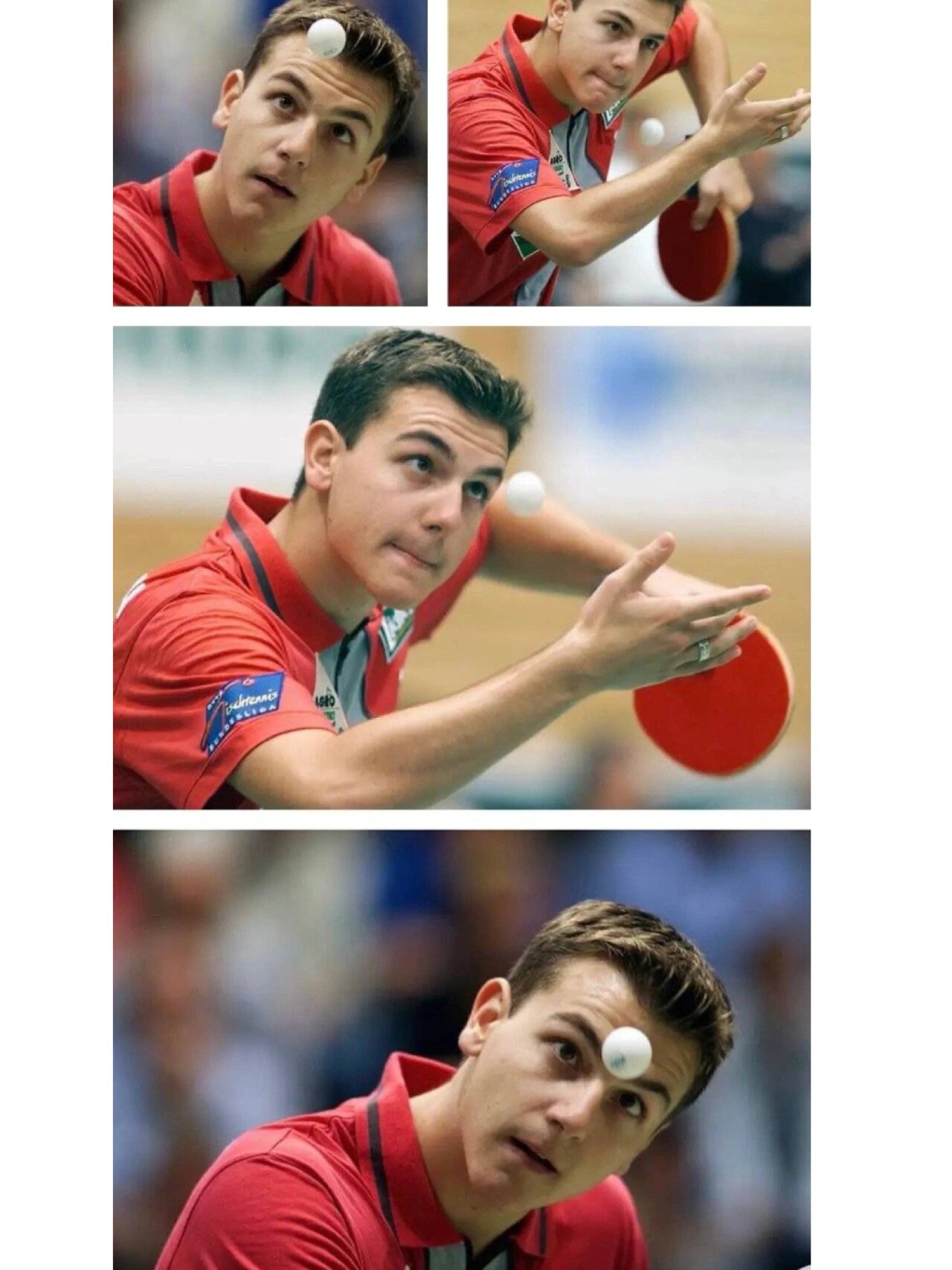 开云体育登录-中国乒乓球队绝杀德国乒乓球队,波尔惊艳世界的简单介绍