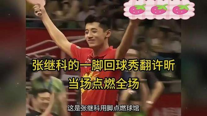 波兰乒乓球队险胜瑞典乒乓球队,张继科三分雨点燃全场 波兰乒乓球队险胜瑞典乒乓球队,张继科三分雨点燃全场