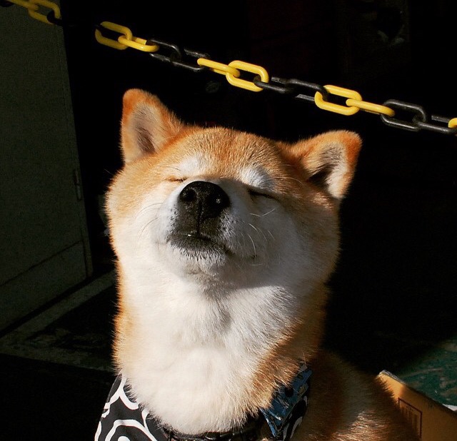 开云体育登录-德甲争冠战焦点战，马里连续得分压制阿森纳，改写争冠格局