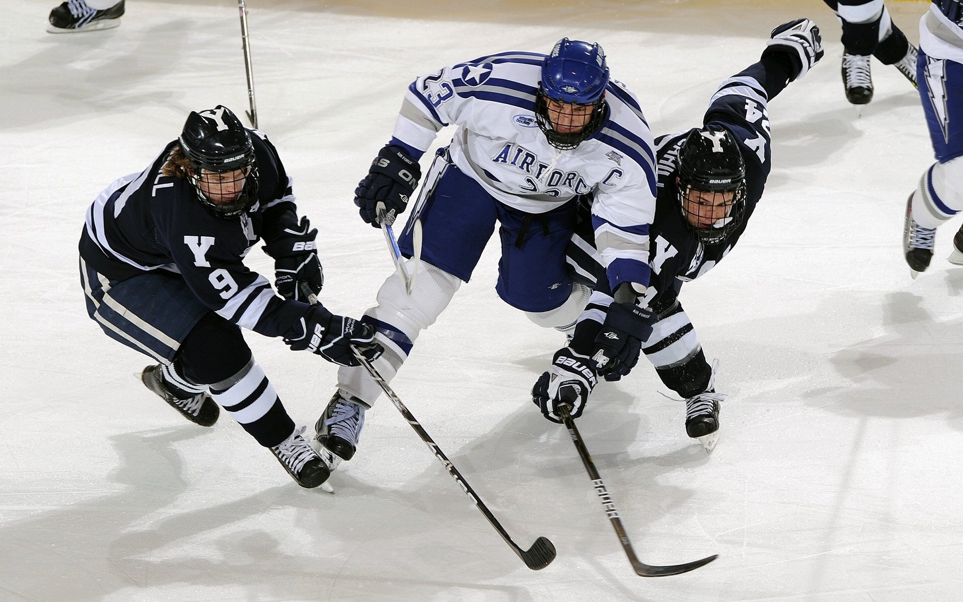 锡安成为全场焦点,掘金压制奇才