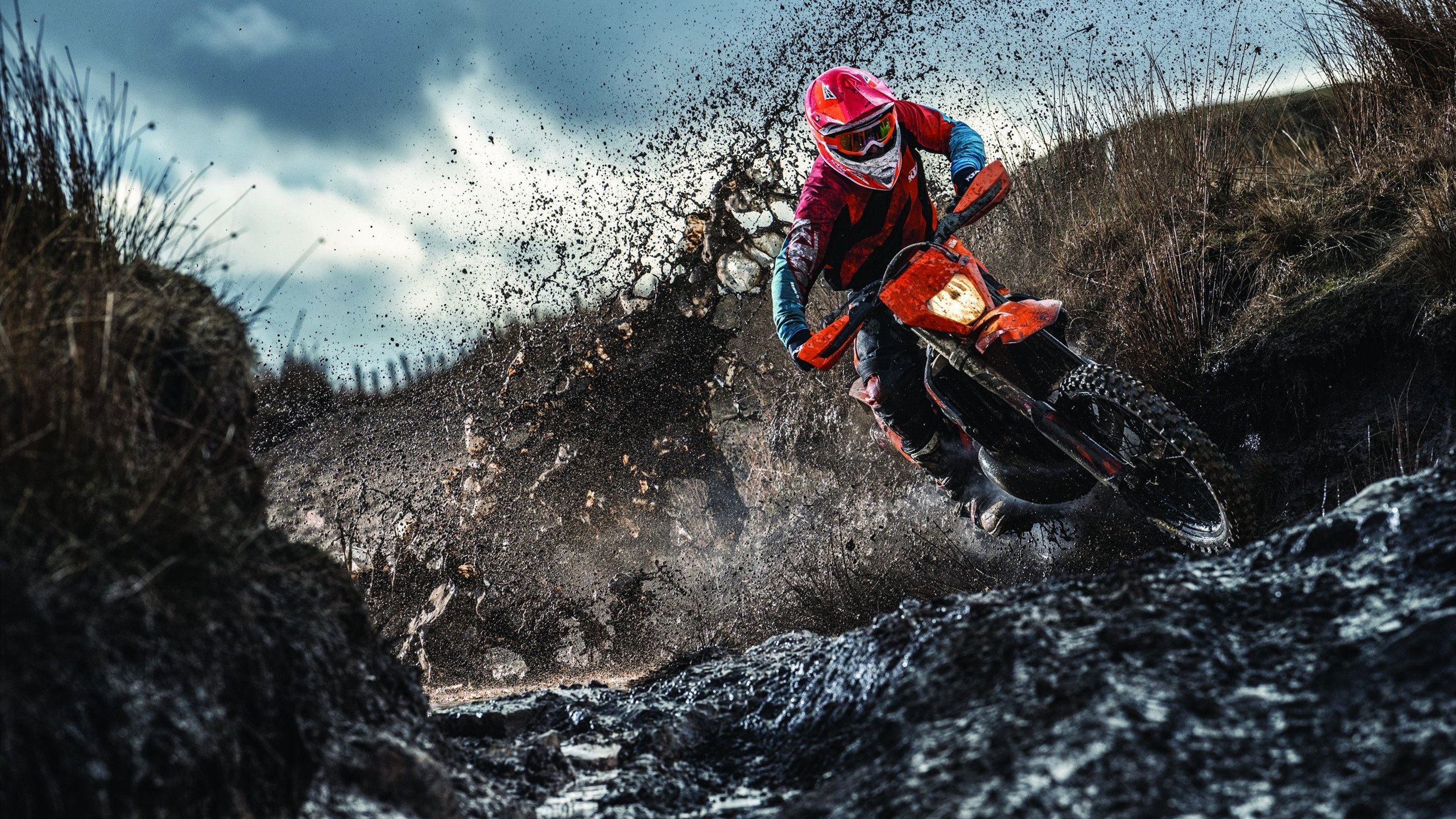 开云体育直播-教科书级表现!卡拉斯科导演胜利,新西兰淘汰赛力克马里